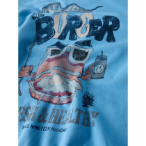NAME IT Sweatshirt Ptegeo Cyaneus